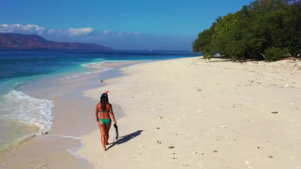 mujer sosteniendo equipo de aletas en la playa de verano  - Metraje, vídeo
