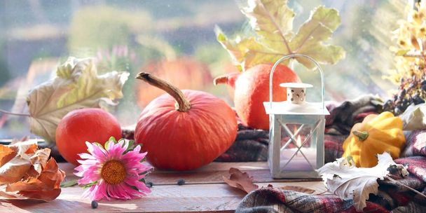 Citrouilles, feuilles d'automne, lanterne décorative avec une bougie sur une surface en bois sur un fond de fenêtre, vacances d'automne, le concept de confort à la maison, Thanksgiving
 - Photo, image
