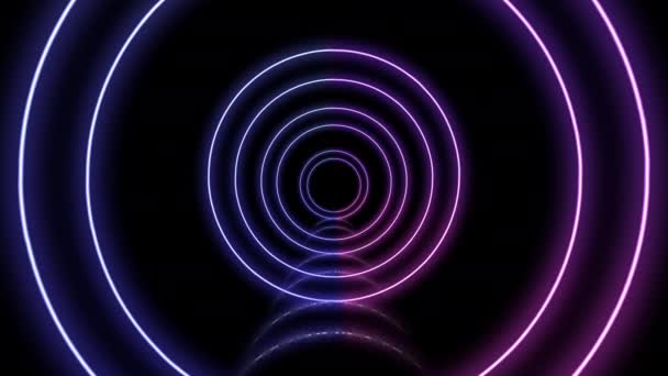 Approximation of neon circles on the black background. - Footage, Video