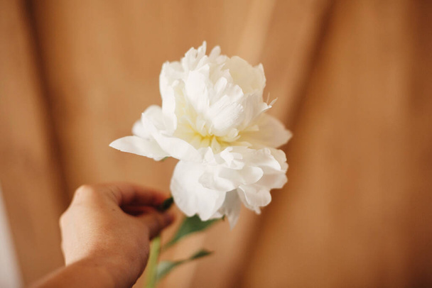Mano sosteniendo peonía blanca sobre fondo rústico de madera. Floristería a mano arreglando flores blancas. Hola fondo de pantalla de primavera. Feliz Día de las Madres. Boda adornando. Espacio texto
 - Foto, imagen