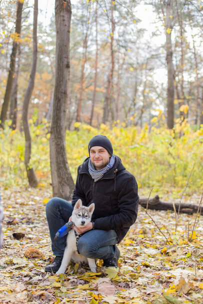 man with husky puppy in autumn in park - Valokuva, kuva