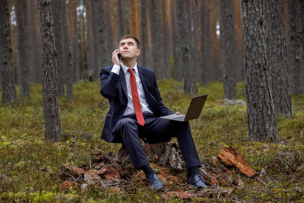 freelancing in nature. a man works on a laptop in a pine forest. businessmans office in the park. - 写真・画像