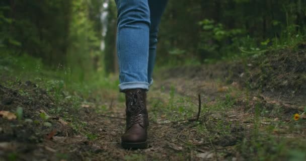 遅い動きで女性の足の急な地形をハイキングの閉じるまで。ハイキングブーツの足秋の道を歩く。屋外で秋の日に足を踏み入れ森林地帯を歩き - 映像、動画