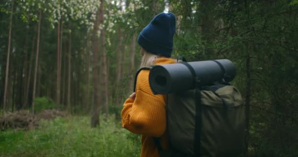 Sırt çantalı sarı kazaklı bir kadın gezgin ormanda bir patika boyunca yürüyor ve güzel manzaralara bakıyor. Sırt çantasıyla ormanı gezen bir kadın gezgin. - Video, Çekim