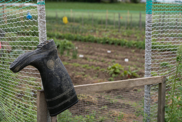 fekete gumicsizma lógni kész a kerti kerítés - munka cipő - Fotó, kép