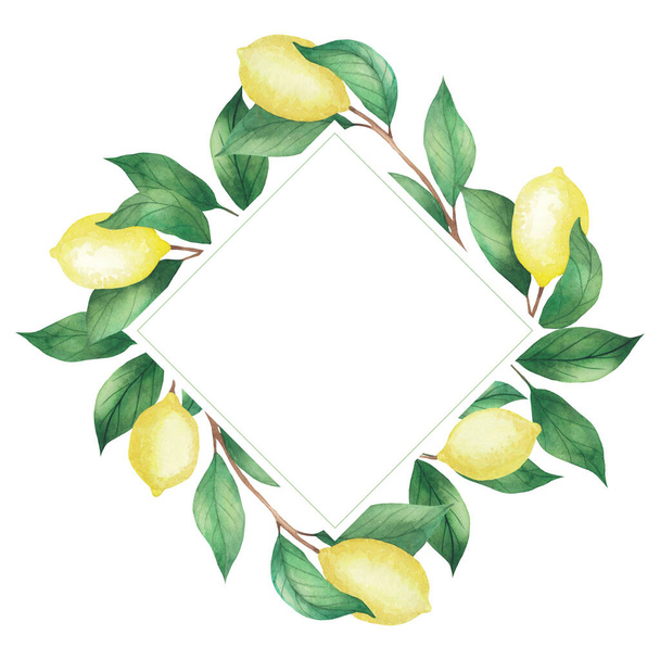 レモンと緑の枝、葉の水彩フレームの招待状。白い背景に孤立した菱形のフレーム - 写真・画像