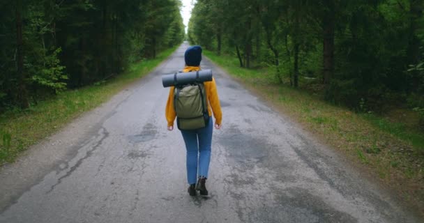 バックパック付きの黄色いセーターを着た女性旅行者が美しい景色を見て森の中の道を歩いています。バックパック付きのセーターで森を探索する女性旅行者 - 映像、動画