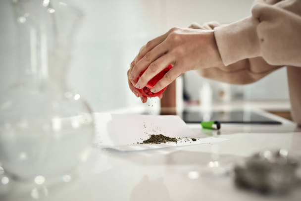 Close up of womans hands putting grinded weed on a paper while emptying out red marijuana grinder. Glass water pipe or bong and lighter on the table - Foto, imagen