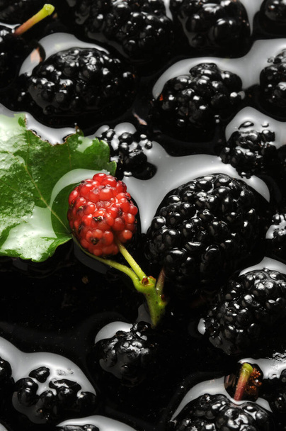 Чорні ягоди у воді
 - Фото, зображення
