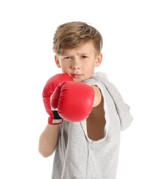 Симпатичный маленький боксер на белом фоне - Фото, изображение