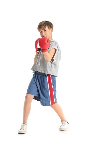 Roztomilý malý boxer na bílém pozadí - Fotografie, Obrázek