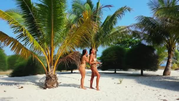 Две юные подружки в бикини стоят на песчаном берегу моря под пальмой и загорают. Одна девушка расчесывает свою подругу. Красивые женщины отдыхают на тропическом курорте       - Кадры, видео