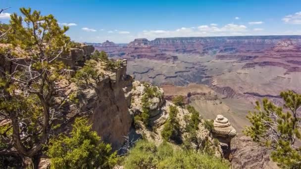 Grand canyon, usa with bushes and grass on a sunny day - Footage, Video