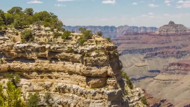 Grand canyon, usa met struiken en gras op een zonnige dag - Video