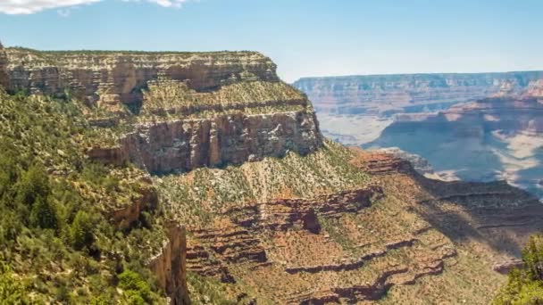 Grand canyon, usa with bushes and grass on a sunny day - Footage, Video