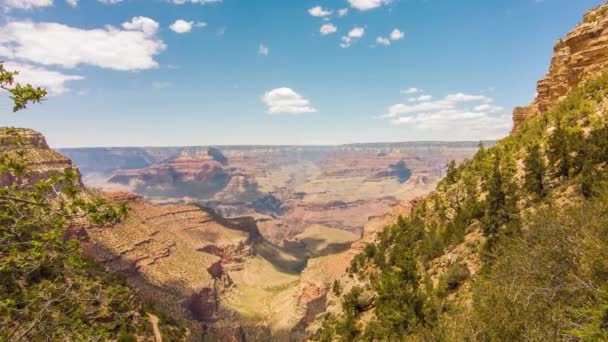 Grand Canyon, USA mit Büschen und Gras an einem sonnigen Tag - Filmmaterial, Video