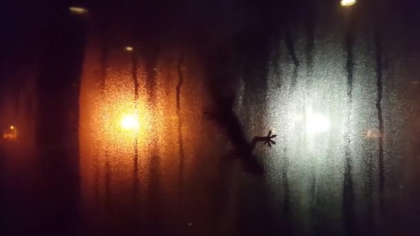 Silhouette lucertola sulla finestra Finestra appannata di notte contro le luci bianche e arancioni sullo sfondo
 - Filmati, video