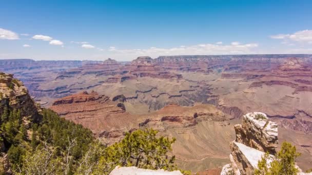 Grand Canyon, USA bokrokkal és fűvel egy napos napon - Felvétel, videó
