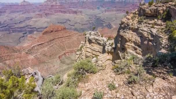 Grand canyon, сша с кустами и травой в солнечный день
 - Кадры, видео