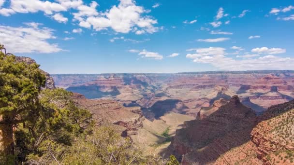 Grand canyon, Etats-Unis avec buissons et herbe par une journée ensoleillée
 - Séquence, vidéo