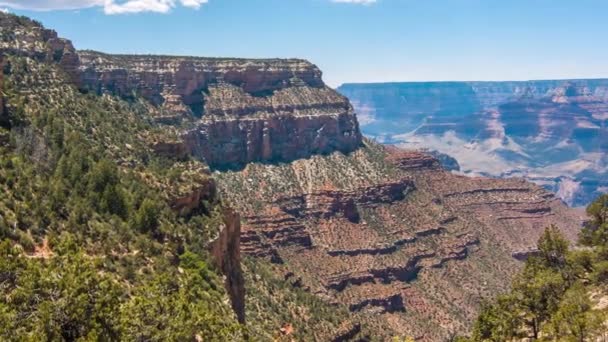 Grand canyon, usa met struiken en gras op een zonnige dag - Video