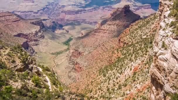 Büyük Kanyon, Amerika 'da çalılar ve çimenler güneşli bir günde - Video, Çekim