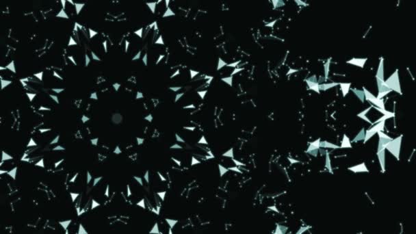 Piccole particelle blu che formano un fiore sullo sfondo nero
. - Filmati, video