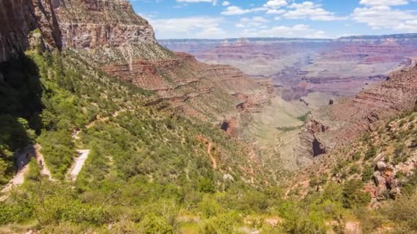 Grand canyon, usa con cespugli ed erba in una giornata di sole
 - Filmati, video