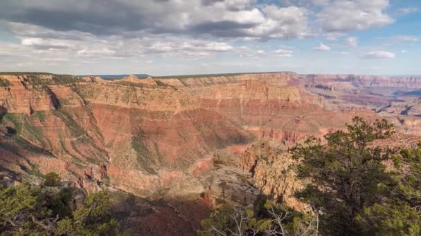 Büyük Kanyon, Amerika 'da çalılar ve çimenler güneşli bir günde - Video, Çekim