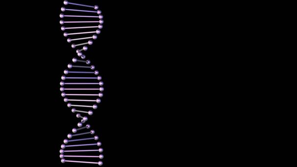 Paarse DNA streng op een zwarte achtergrond. - Foto, afbeelding