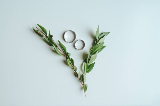 weddings silver rings between green leafs - Φωτογραφία, εικόνα