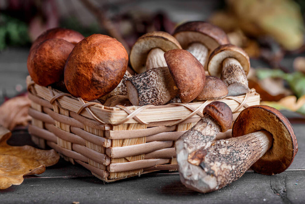 Autumn Cep Mushrooms. Basket with porcini mushrooms on the background of a tree. Close -up on wood rustic table. Cooking delicious organic mushroom. - Zdjęcie, obraz