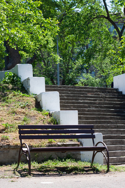 Деревянная скамейка и ступени окружены деревьями в парке. Концепция покоя, спокойствия и тишины
 - Фото, изображение