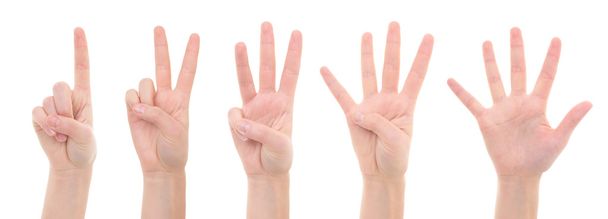 Женские руки, считая от одного до пяти изолирован на белом - Фото, изображение