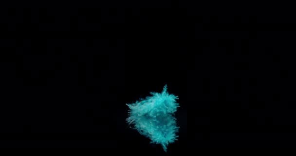 Niebieskie pióro ptaków - Materiał filmowy, wideo