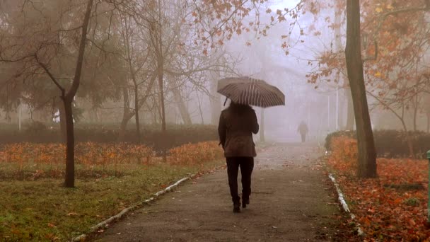 Girl with umbrella goes back to the autumn alley in the fog, туман, осень, девушка - Footage, Video