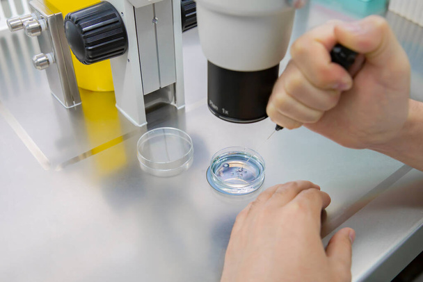 Εμβρυολογία εργαστηριακή βιοτεχνολογία in vitro γονιμοποίηση κύτταρα επιστήμη - Φωτογραφία, εικόνα