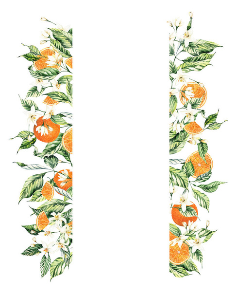 Watercolor citrus frames for summer wedding invitations. Citrus Oranges Clipart arrangements. Wedding summer invites. - Photo, Image