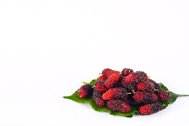 mulberries  fruit and  mulberry leaf on white background healthy mulberry fruit food isolated - Photo, Image