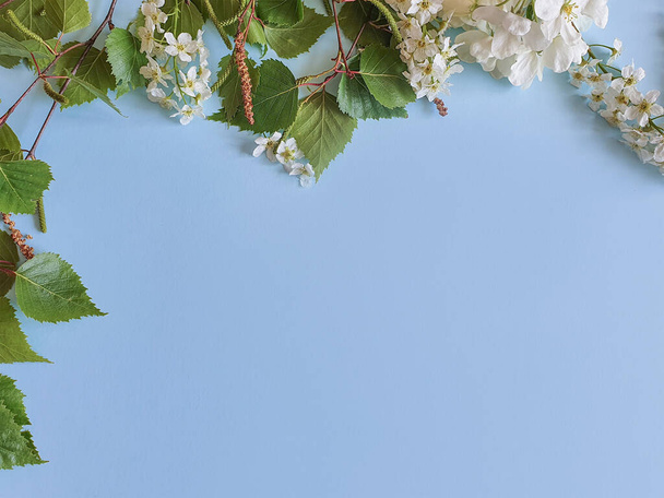 Marco floral de abedul y ramas florecientes. Hojas verdes frescas y flores blancas sobre un fondo azul. Vista desde arriba, plano
 - Foto, imagen
