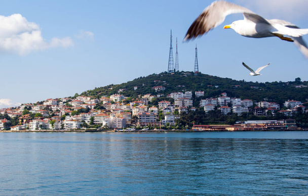 Burgazada, Burgaz Adasi, ou bientôt Burgaz est la troisième plus grande des îles des Princes dans la mer de Marmara, près d'Istanbul, en Turquie
. - Photo, image