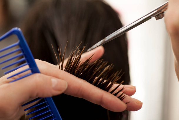 hairdresser cut the hair with scissors - Valokuva, kuva