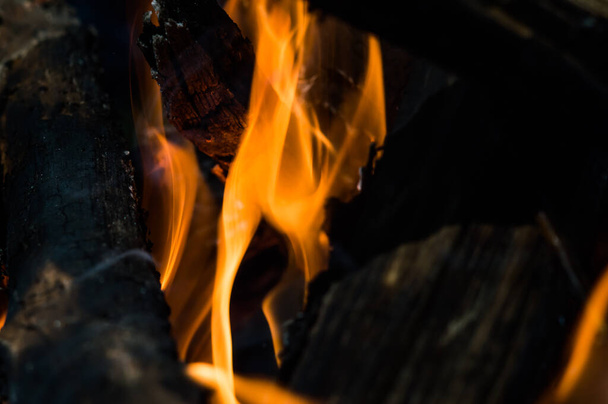 Fogata con llamas de cerca. Fondo oscuro abstracto del fuego
. - Foto, imagen