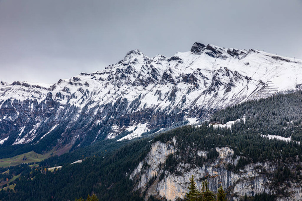 Snow capped mountains range during winter in Switzerland, pine trees forest on hill covered by snow. - Photo, Image