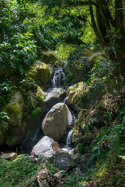 wandelen en ontdek de prego salto waterval op het eiland sao miguel, azores, Portugal. - Foto, afbeelding