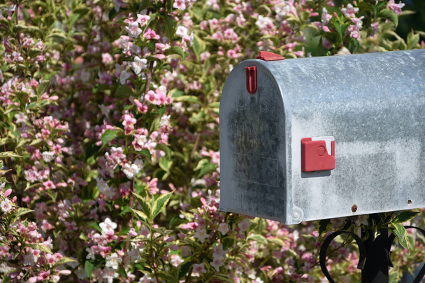 Boîte aux lettres avec fleurs au printemps
 - Photo, image