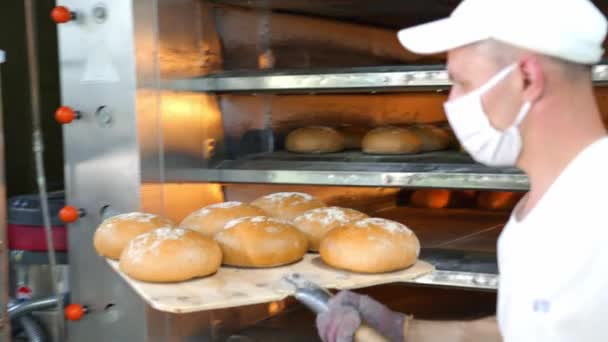 Chef removes freshly baked bakery products from the oven. Baked bread is removed from the oven in a bakery. - Footage, Video