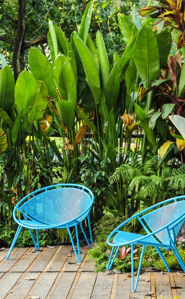 Sininen tuoli puutarhassa
 - Valokuva, kuva