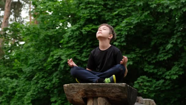 Yoga infantil en el parque. Niño en posición de yoga cierra los ojos y medita
. - Metraje, vídeo