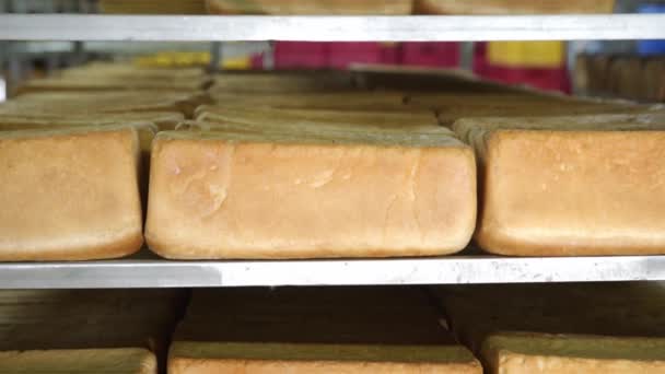 A pékipari termékek gyártása bezárul. Frissen sült pirított kenyér közeledik, a pékség gyárának polcain fekszik. Sok kenyér van a pékség polcain. - Felvétel, videó